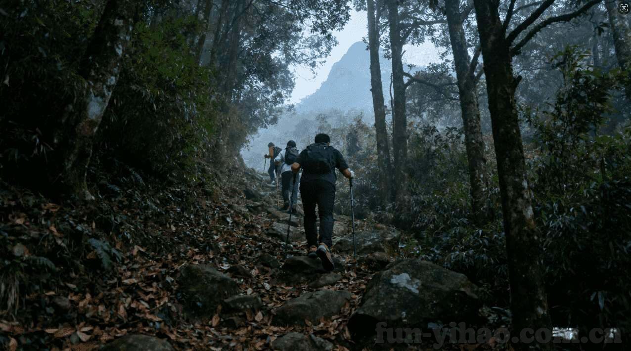 世界杯乌拉圭前景-乌拉圭征战世界杯前景展望，稳健战术与明星球员的交响曲